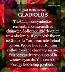August Birth Flower Gladiolus Birth Flowers August Birth Flower Birth Month Flowers