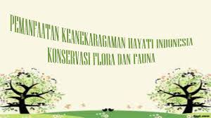 1.menghindarkan jenis tumbuhan dan satwa dari . Pemanfaatan Keanekaragaman Hayati Indonesia Konservasi Flora Dan Fauna Ppt Download