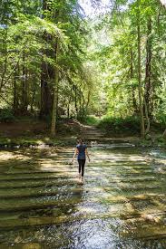 There is a campfire center that offers evening programs on the weekends during peak season. Best Big Sur Campgrounds Plus The Secret To Snagging A Weekend Reservation