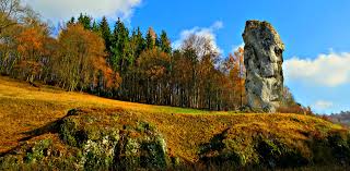 Suchen sie nach bieszczady nationalpark in polen landschaft. Naturwunder In Polen