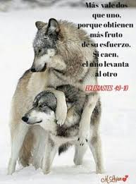 Mas Vale Dos Que Uno Beautiful Wolves Wolf Love Animals