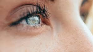 Leicht Gelbe Augen Was Sie Daruber Wissen Sollten Focus De