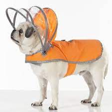Dog Apparel Push Pushi Posh Products For Pampered Pups Pushpushi Dog Raincoat Dog Clothes Orange Dog Collar