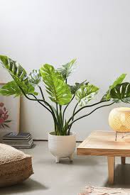 Super deep, wide lobes making narrow green leaf blades that resemble fingers, form the. Best Most Realistic Fake Trees And Plants For Your Home Style Living