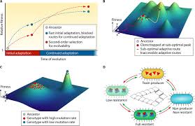 Most domesticates have their origin in one of a few historic centers of domestication as farm animals. Experimental Design Population Dynamics And Diversity In Microbial Experimental Evolution Microbiology And Molecular Biology Reviews