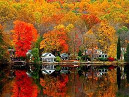 1366 x 768 jpeg 750 кб. Fall Scenery Wallpapers Wallpaper Cave