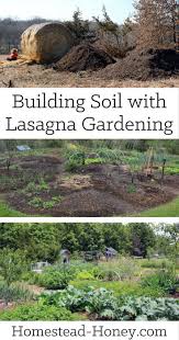 Here is the basic idea of lasagna gardening. Building Soil With Lasagna Gardening Homestead Honey Lasagna Gardening Organic Vegetable Garden Organic Gardening Tips