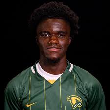 Local roundup: Lavela nets goal to lift Falcons