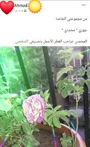 و الإسلامية على الإطلاق : 7mywodrd Lqrem