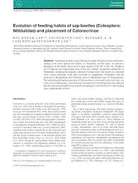 Check spelling or type a new query. Pdf Evolution Of Feeding Habits Of Sap Beetles Coleoptera Nitidulidae And Placement Of Calonecrinae