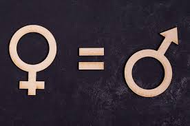 La equidad de género representa la independencia tanto del sexo femenino como del masculino de ejercer libremente cualquier acción dentro de la sociedad. Ley De Igualdad De Genero Que Regula Grupo Atico34