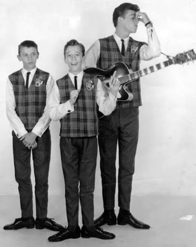 The Bee Gees were a musical group formed in 1958 by brothers Barry, Robin, and Maurice Gibb. Before they became the disco kings of the 1970s, the Gibb brothers—Barry, Robin, and Maurice—were