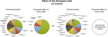 Thinking about starting the ketogenic diet? Ketogenic Diet In The Treatment Of Cancer Where Do We Stand Sciencedirect