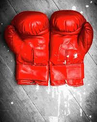 Boxing Poster Featuring The Photograph Bright Red Boxing Gloves By Jorgo Photography Wall Art Gallery Red Boxing Gloves Photography Wall Art Photography Wall