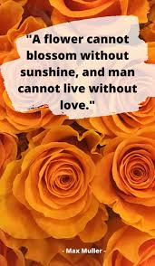 Fan of the adapted love live sunshine series? 80 Quotes About Sunshine For Motivation Instagram Pinterest