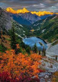 20 professional hdr preset pack for adobe lightroom 4 5 6 7 8 (all latest versions)/cc (desktop&mobile) mobile and desktop presets for the free adobe lightroom mobile app and lightroom desktop everyday photos shot an. Page 4 Portraits Of Nature Hd Wallpapers Free Download Wallpaperbetter