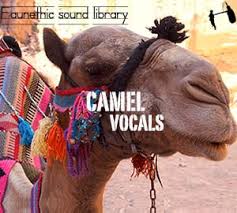 A seal makes a sound that is a mixture of a bark and an eerie whaling sound, depending on the species of seal. Camel Sound Library By Faunethic Sonniss