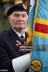 254 Belgium War Medal Stock Photos, High-Res Pictures, and Images