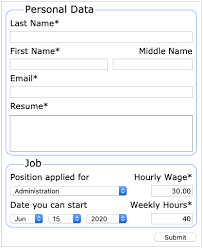 It's a great example of how the content of your resume has to go in hand with its form. Job Application Sample Form Fluid And Responsive Html Forms