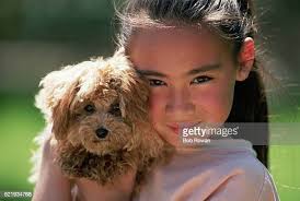 199 Puppy Bob Stock Photos, High-Res Pictures, and Images