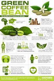 Green Coffee Bean Extract Tablets Green Coffee Bean Green Coffee Svetol Green Coffee Bean