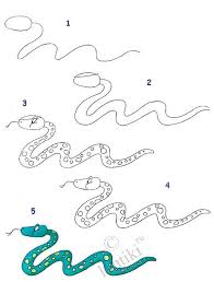 How to draw a snake step by step and color. How To Draw A Snake Step By Step