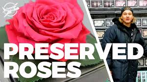 Our modern flower arrangements are sure. Jftv Largest Inventory Of Preserved Roses In Miami With Casey Youtube