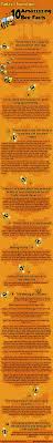 Pb Garden Wildlife On Pinterest Djohnisee Pic Infographic 10 Amazing Bee Facts 1 Honey Bees Are Assigned Jo Honey Bee Facts Bee Facts Bee Keeping