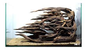 Aqua Kayu Aqua Kayu Tropical Fish Aquarium Aquascape Aquarium Aquarium Landscape
