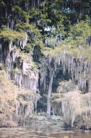 Profile for Everlasting Memories By Terry Dupre