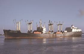 Image result for Tan 1964 Fleet