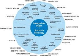 Careers In Psych Psychology Careers Psychology Jobs School Psychology