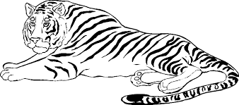 Malvorlage Tigerfamilie Coloring And Malvorlagan