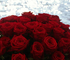 Beautiful Red Naomi Bouquet From Porta Nova Red Roses Unique Roses Rose