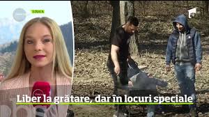 Vacanta de paste, detalii despre vacanta de paste. Structura Anului È™colar 2018 Cand Incepe VacanÅ£a De Paste Elevii Vor Sta AcasÄƒ Mai Mult Antena 1