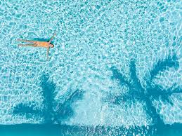 Image result for Oldenlandia verrucitesta