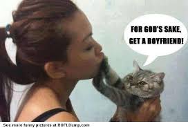 Leave Me Alone Human Rofl Dump Funny Pictures Crazy Cats Funny Cats