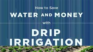 Find out how to save water at home & learn about why we need to conserve water. How To Save Water And Money With Drip Irrigation Blog
