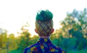 Wayne marshall gets his hair dyed and cut into the style of a pineapple for shave or dye. Reddit User S Pineapple Haircut Goes Viral After He Lost A Bet