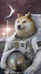 Maybe you would like to learn more about one of these? Ready For Launch Dogecoin In 2021 Doge Meme Doge Dog Memes