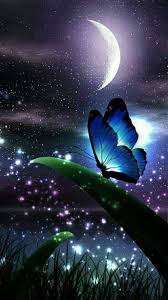 In 2020 Beautiful Nature Wallpaper Butterfly Wallpaper Backgrounds Butterfly Wallpaper