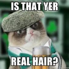 Grumpy Irish Cat Irish Dance Humor Irish Birthday Quotes Grumpy Cat