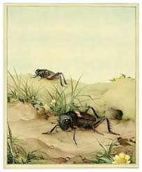 Wistful Crickets Art Insect Art Nature Illustration