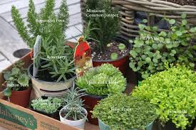 Create within a mossy wooded area. Plant A Fairy Container Garden Hgtv