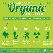 Organic Meaning Organic Juice Organic Fruit Juice Branding