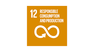 12.3.1 global food loss index Sdg 12 Consumption And Production Nike Purpose
