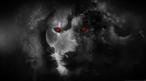 1080p Black And White Lion Wallpaper Lion Black And White Wallpaper 1080p Lion Wallpaper Black Lion Wolf With Red Eyes