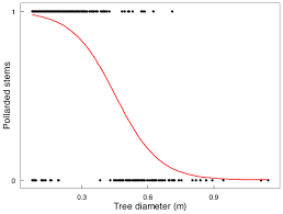 Image result for Drypetes mossambicensis