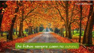 O outono chegou e trouxe o amor em forma literal ao meu ser. Seasons In Brazil Rio Learn