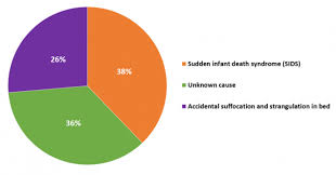Deaths Causes Pie Chart Medium First Candle